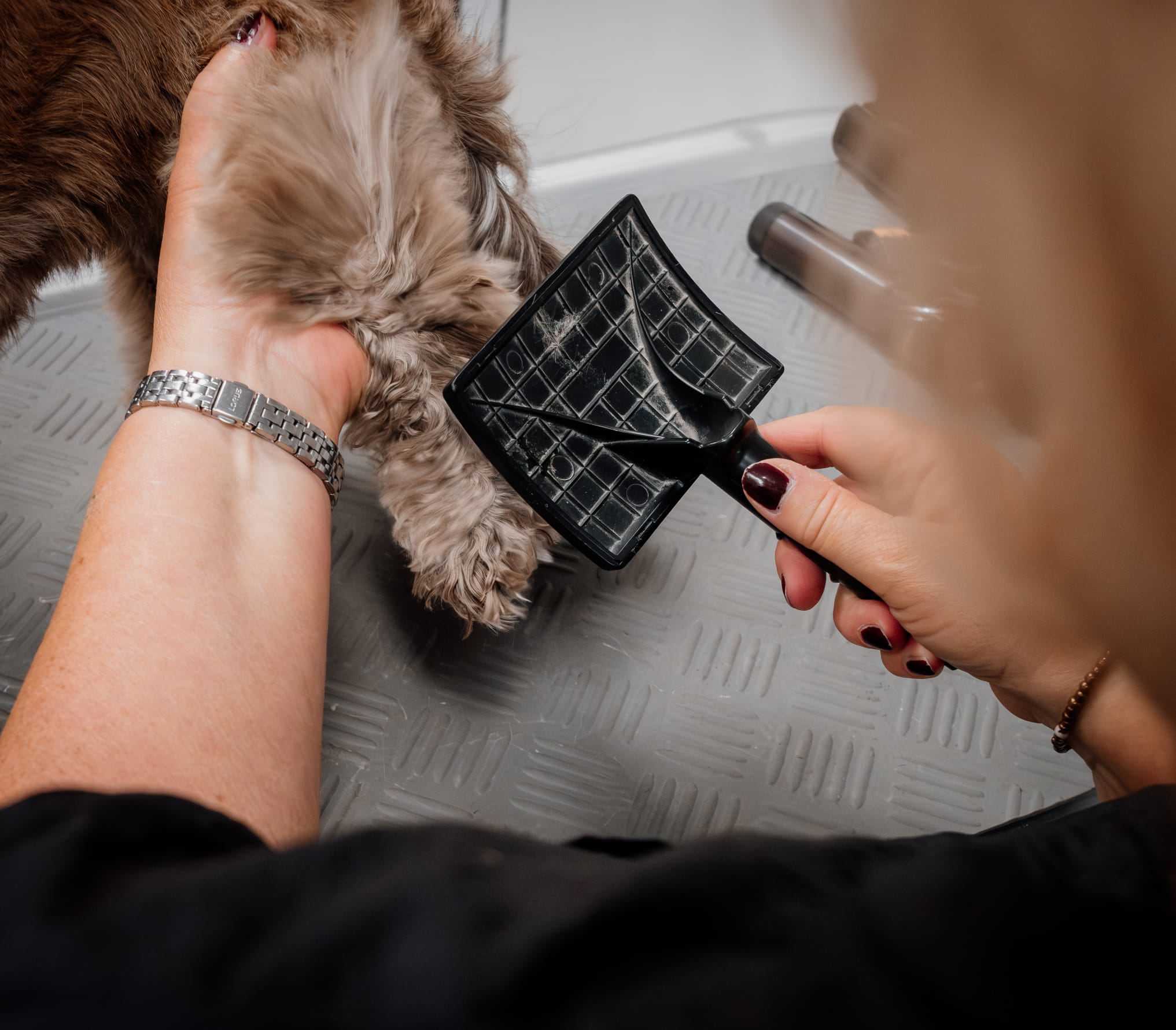 placeholder image-wide